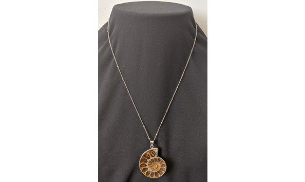 Big image img 20200818 154155