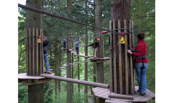 Big image mini magick20200819 89474 1i99ug3