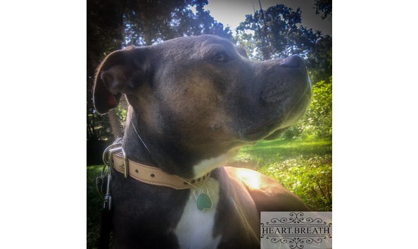 Big image 1533297d 94d8 438b 84e2 b7243ba4ad6b