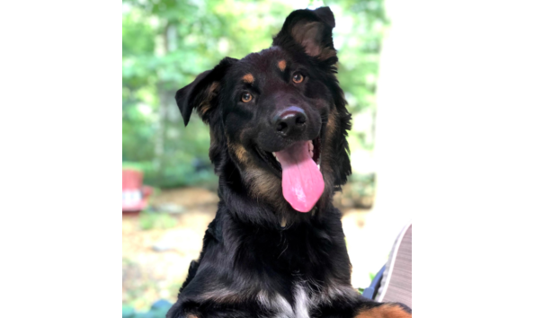 Big image screen shot 2020 08 19 at 9.48.29 pm