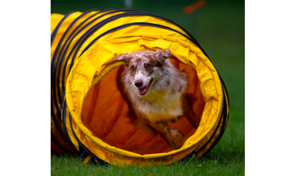 Big image screen shot 2020 08 19 at 9.48.07 pm