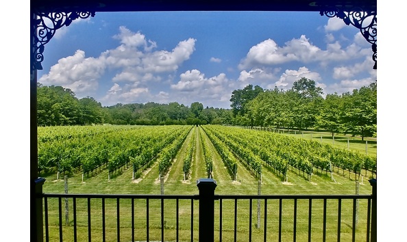 Big image karamoor estate 2020