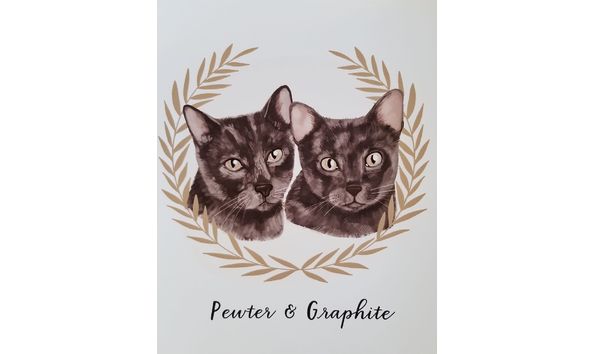 Big image 87052861 10215570899616290 7603108986082033664 o