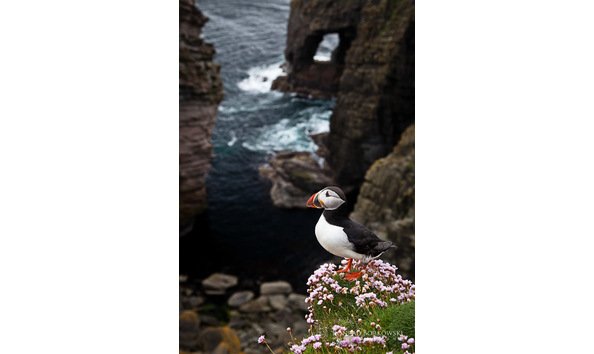 Big image ksl pkc 35