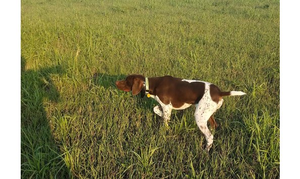 Big image a80c2e85 f2f5 47e3 918d 0a8cc153dd23