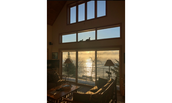 Big image screen shot 2020 08 27 at 11.05.53 pm