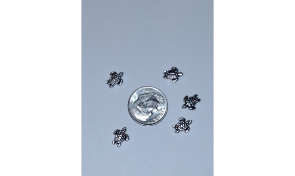 Big image img 20170311 105058477