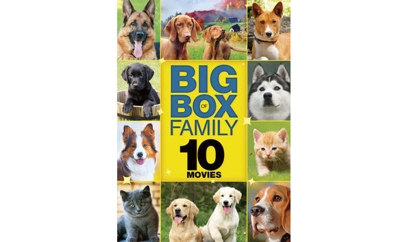 Big image big box family movies