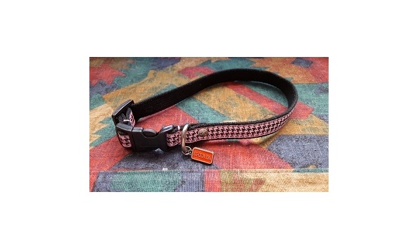 Big image 20170311 075119