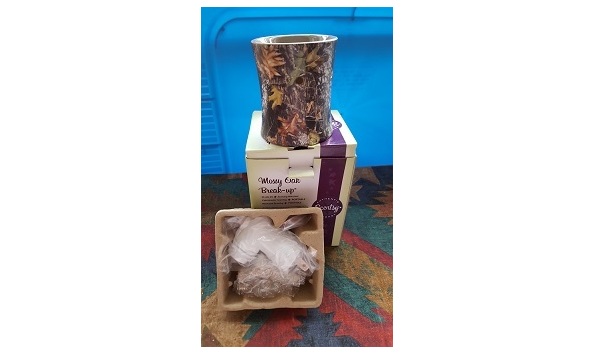 Big image 20170311 074634