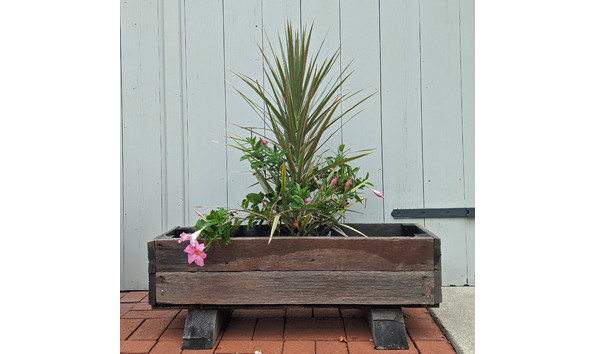 Big image img 20200902 124216