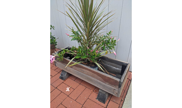 Big image img 20200902 124222