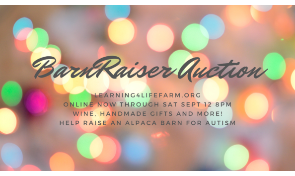 Organization Main Image