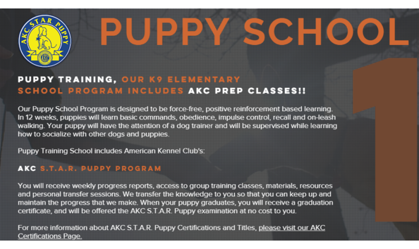 Big image k9hs puppy school