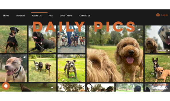 Big image k9hs daily pics