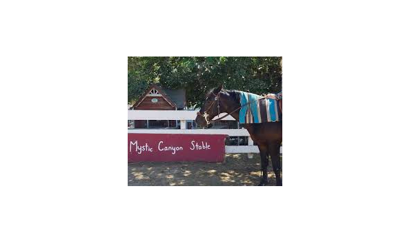 Big image screen shot 2020 09 12 at 1.13.57 pm