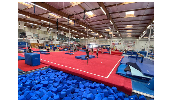 Big image scats gymnastics 2