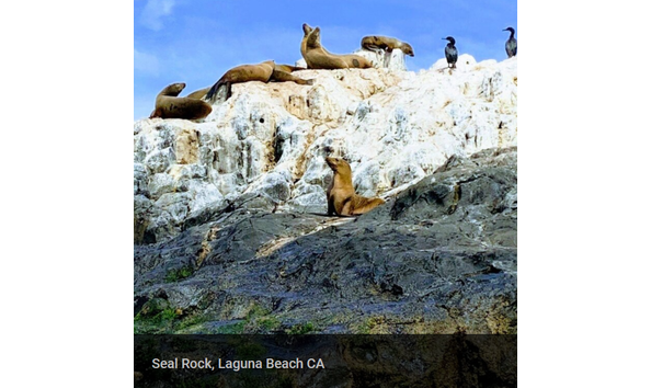 Big image laguna ethos 3