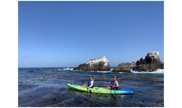 Big image laguna ethos 4