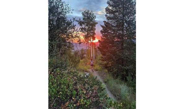 Big image 73ed8fa52e35bbe16f22