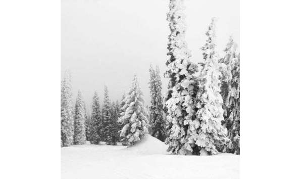 Big image 72e43c337e97d4646816