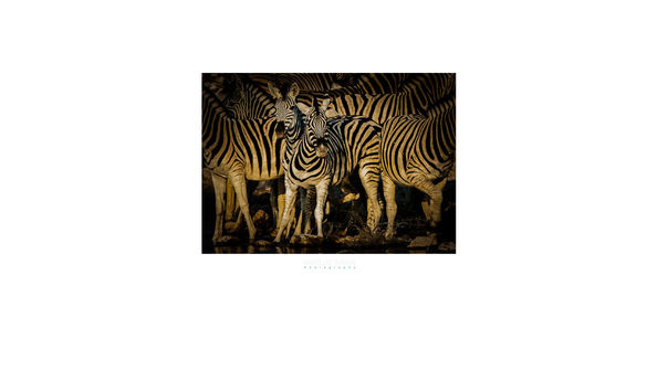 Big image zebras in namibia  2013 