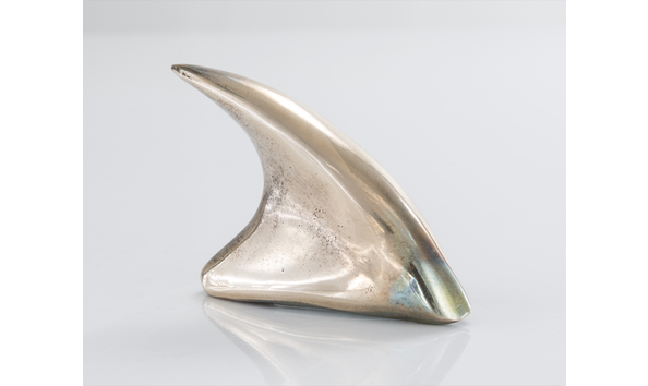 Big image art shark 1