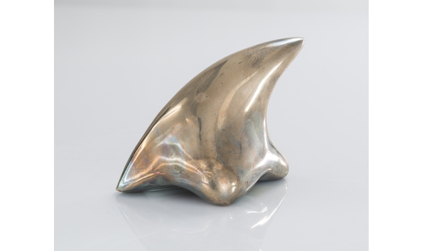 Big image art shark 2