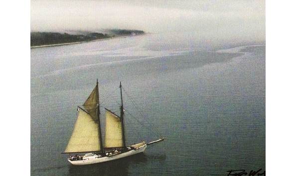 Big image img 9341 min