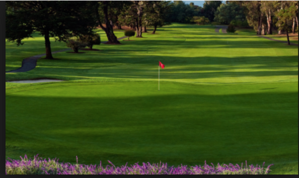 Big image screen shot 2017 03 15 at 1.04.54 pm