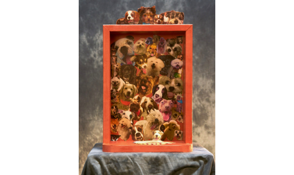 Big image donna lomonaco2