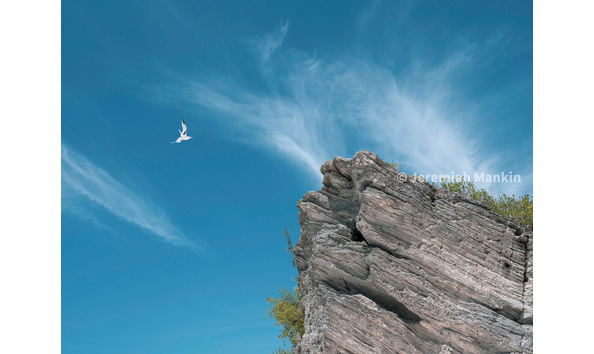 Big image p1004954 edit  1 