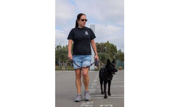 Big image screen shot 2020 09 16 at 4.06.27 pm