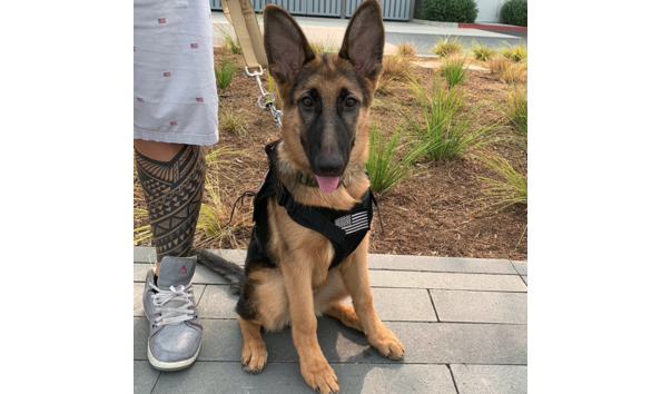 Big image screen shot 2020 09 16 at 4.07.06 pm