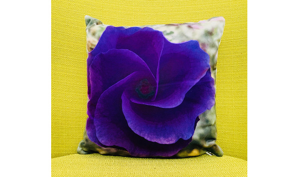 Big image 7dad6d7d 9a6f 4484 9200 7de9c8886a1b 1 105 c