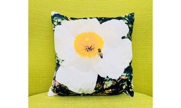 Big image 2b76653e e3e6 483b 8521 cc69c3a4f952 1 105 c