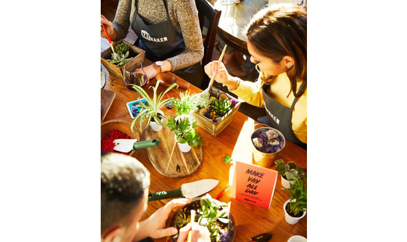 Big image day 02 plant generalfun 2465 735x865