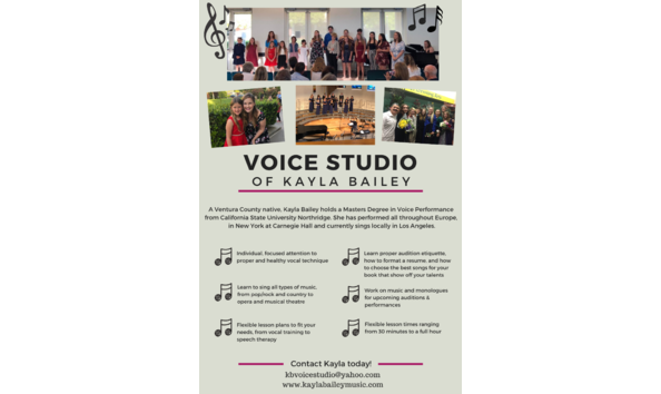 Big image copy of voice studio ad