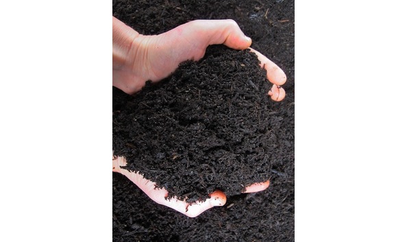 Big image compost hands