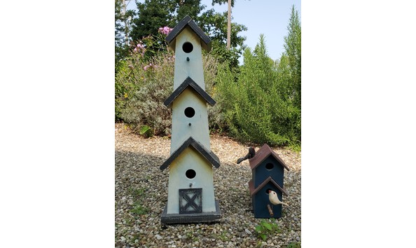 Big image 20200915 131037