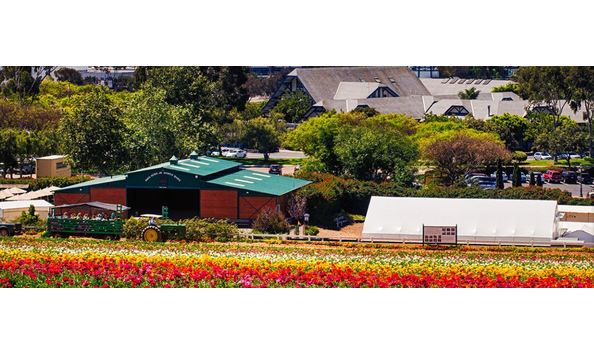 Big image the flower girls