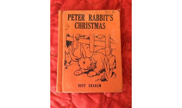 Big image peter rabbit 1