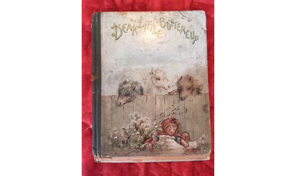 Big image buttercup 1