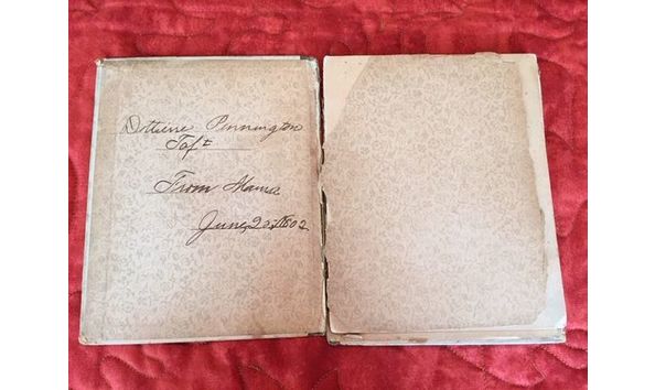 Big image buttercup 2