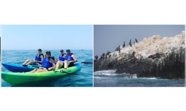 Big image laguna ethos