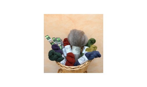 Big image haywardimg 1872