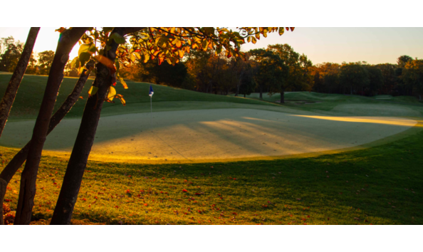 Big image screen shot 2020 09 21 at 11.44.44 am