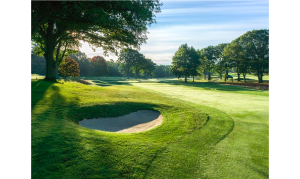 Big image screen shot 2020 09 22 at 11.34.55 am