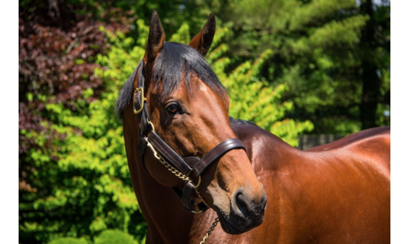 Big image screen shot 2020 09 22 at 11.32.47 am