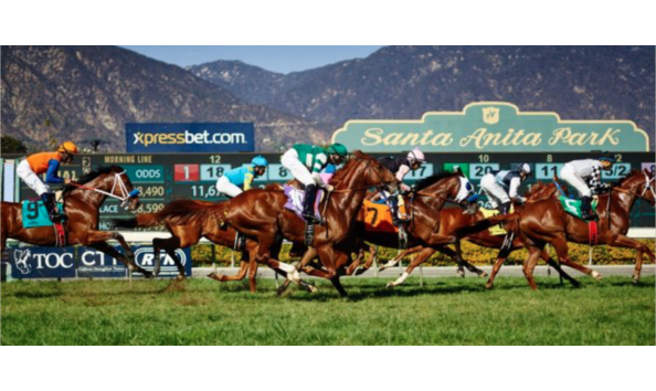 Big image screen shot 2020 09 22 at 11.34.02 am